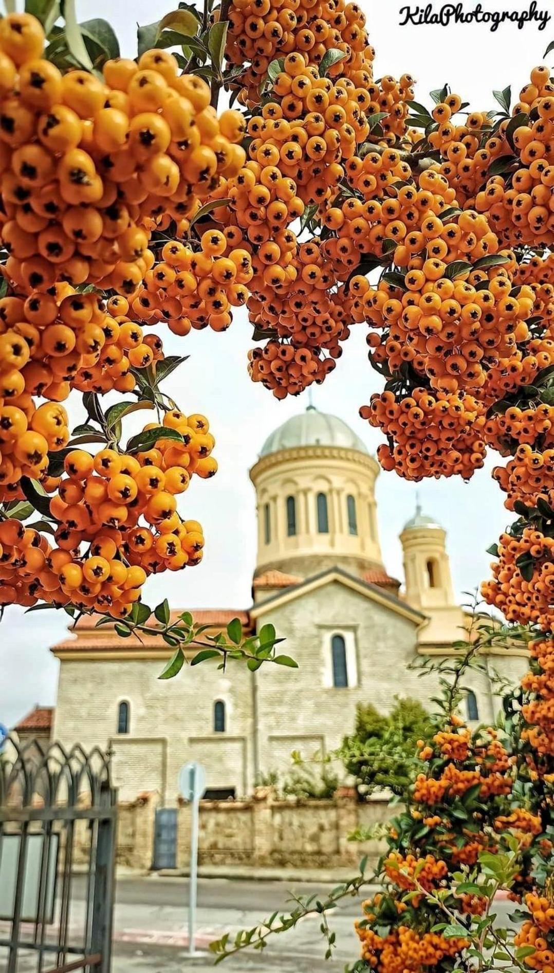Gori Palace Apartments Luaran gambar